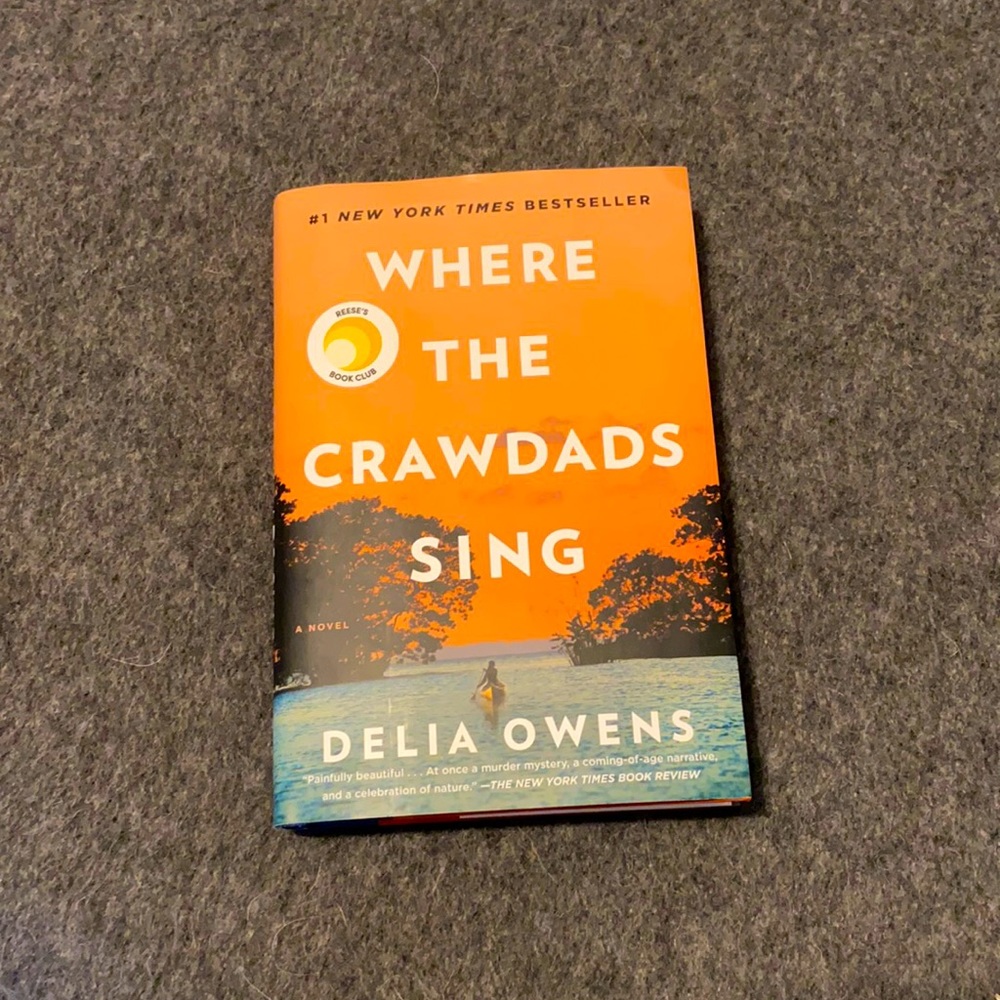 Book (hardcover)